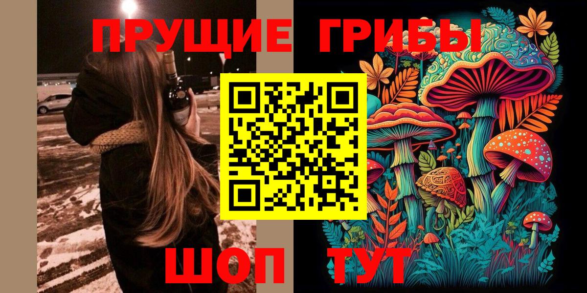 Псилоцибиновые грибы мицелий Шатура